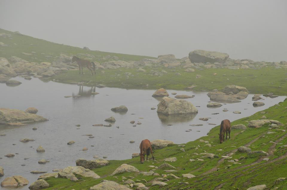 Photo of When I ditched the beaten path to explore the heart of Kashmir ‘on foot’ #kashmirinphotos by Diana Banik