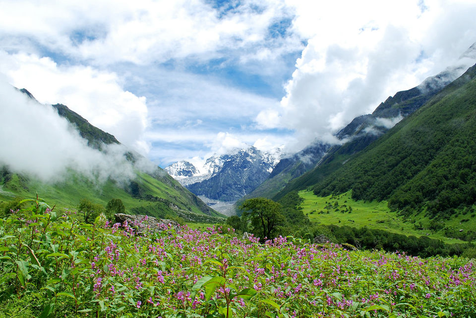 Photo of Lost and found - 6-day trek to Valley of Flowers 6/6 by Indrani Samajpati