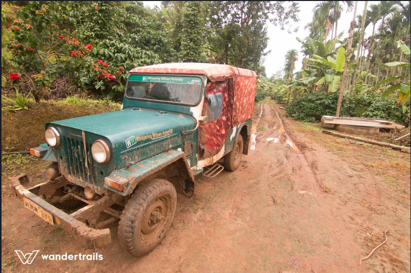 Photo of The Jungles down South - 3N4D Masinagudi-Wayanad 4/14 by Indrani Samajpati
