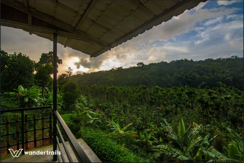 Photo of The Jungles down South - 3N4D Masinagudi-Wayanad 1/14 by Indrani Samajpati