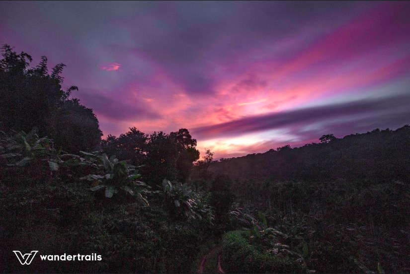 Photo of The Jungles down South - 3N4D Masinagudi-Wayanad 5/14 by Indrani Samajpati