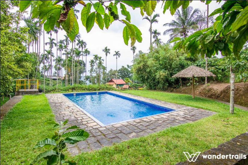 Photo of The Jungles down South - 3N4D Masinagudi-Wayanad 13/14 by Indrani Samajpati