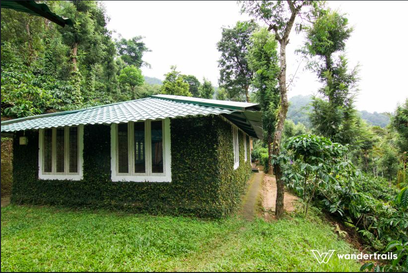 Photo of The Jungles down South - 3N4D Masinagudi-Wayanad 10/14 by Indrani Samajpati