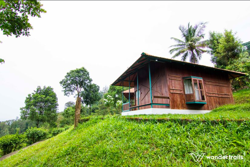 Photo of The Jungles down South - 3N4D Masinagudi-Wayanad 14/14 by Indrani Samajpati