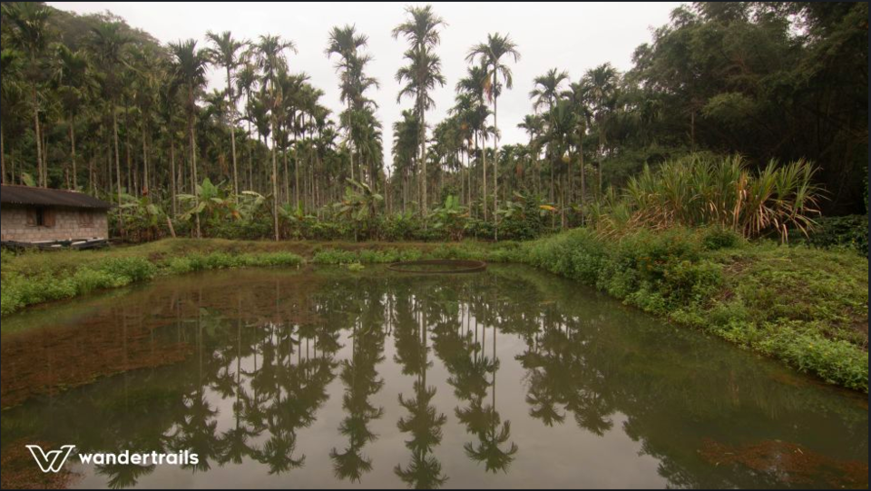 Photo of The Jungles down South - 3N4D Masinagudi-Wayanad 7/14 by Indrani Samajpati