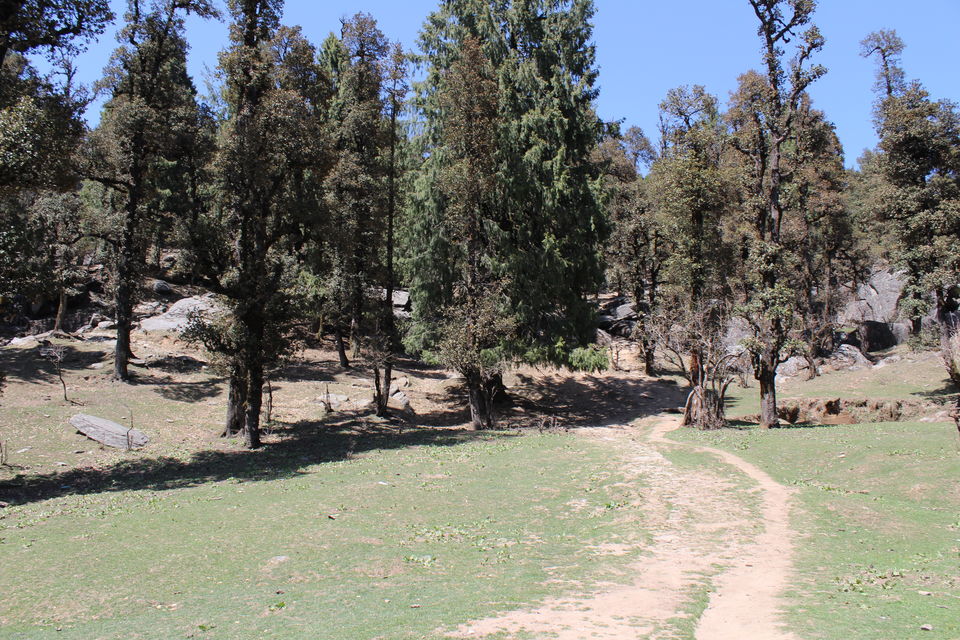 Photo of Nohradhar, Himachal Pradesh, India by Prince Siwal