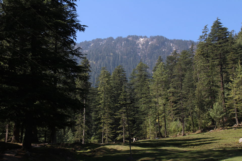 Photo of My first solo trek:Churdhar peak by Prince Siwal