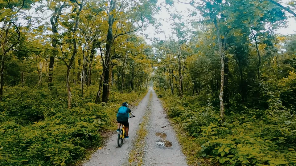 Photo of Baikunthapur Forest, Junglee Mohal, West Bengal, India by TheTravelBomber | Prince Siwal