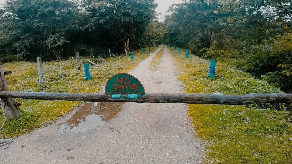 Photo of Cycling Forest Trails | Siliguri |Baikunthapur Forest by TheTravelBomber | Prince Siwal