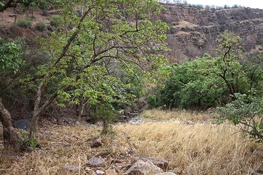 Photo of On The Trail 1/2 by Arnab Khajuria