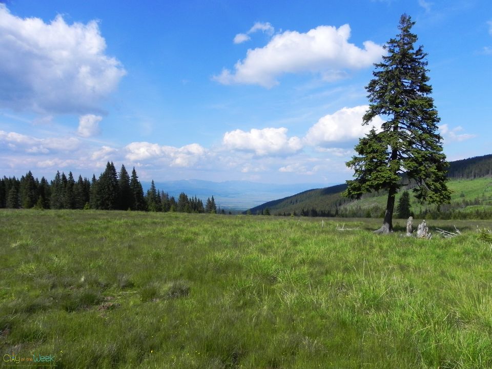 Photo of The Saint Mountain of the Szeklers 14/14 by Audrey