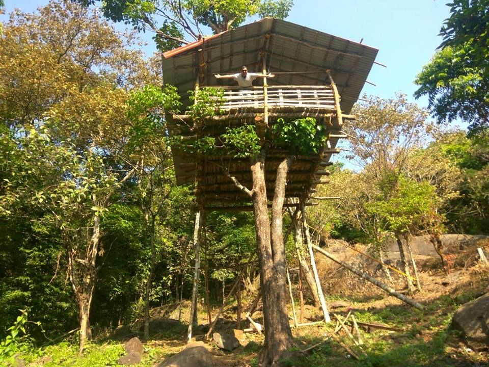Photo of The secret tree house 1/1 by Sanat B