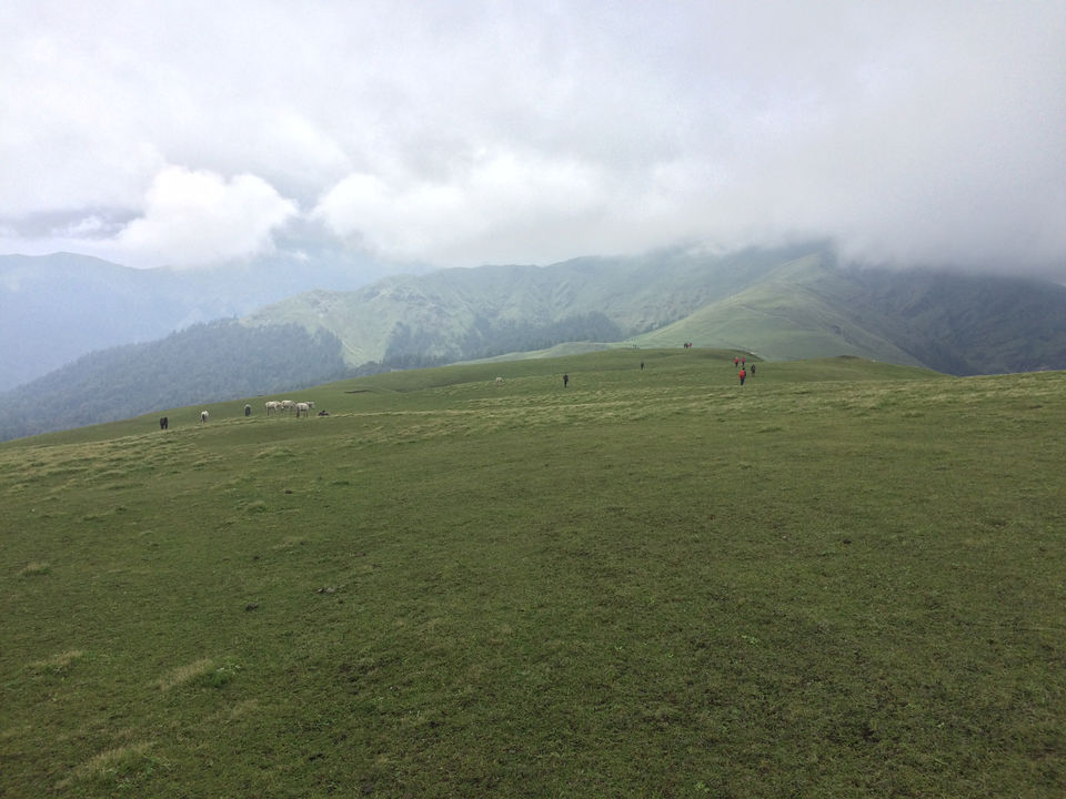Photo of Bedini Bugyal, Chamoli, Uttarakhand, India by Bhromonn (ভ্রমণ)
