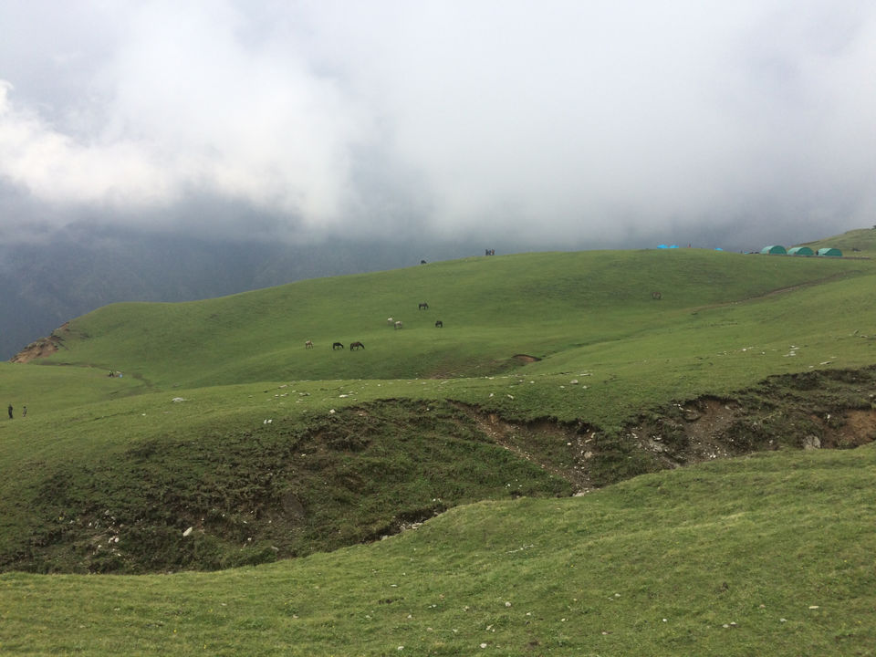 Photo of Bedini Bugyal, Chamoli, Uttarakhand, India by Bhromonn (ভ্রমণ)
