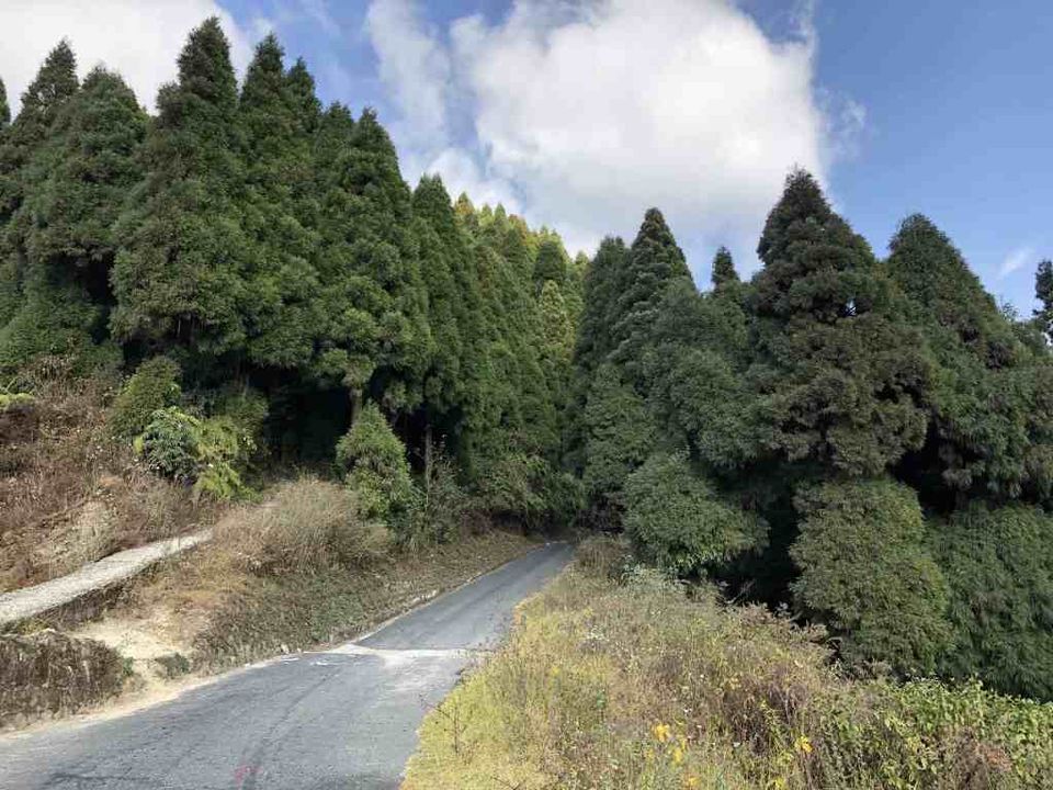 Photo of Sandakphu Trek – A Walk beside the Tallest Mountains by Bhromonn (ভ্রমণ)