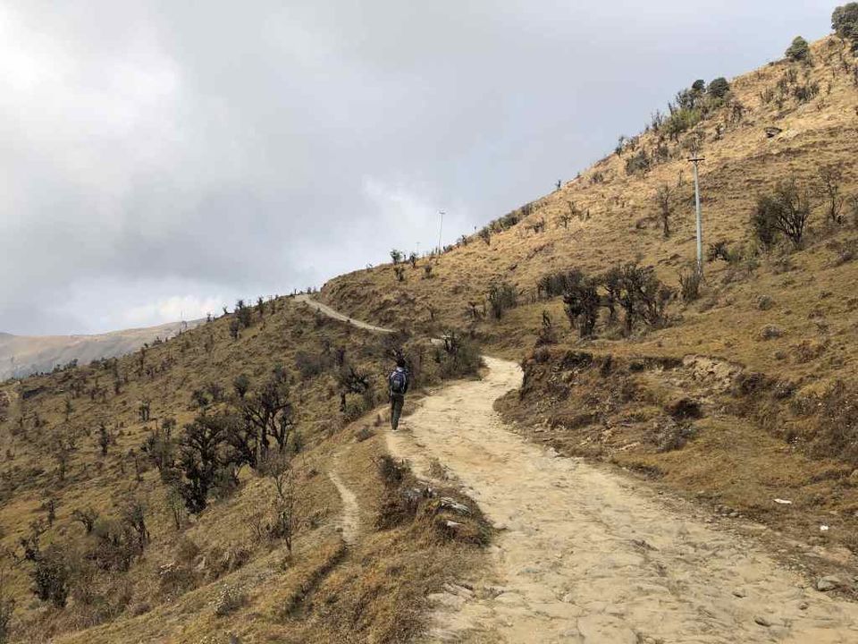 Photo of Sandakphu Trek – A Walk beside the Tallest Mountains by Bhromonn (ভ্রমণ)