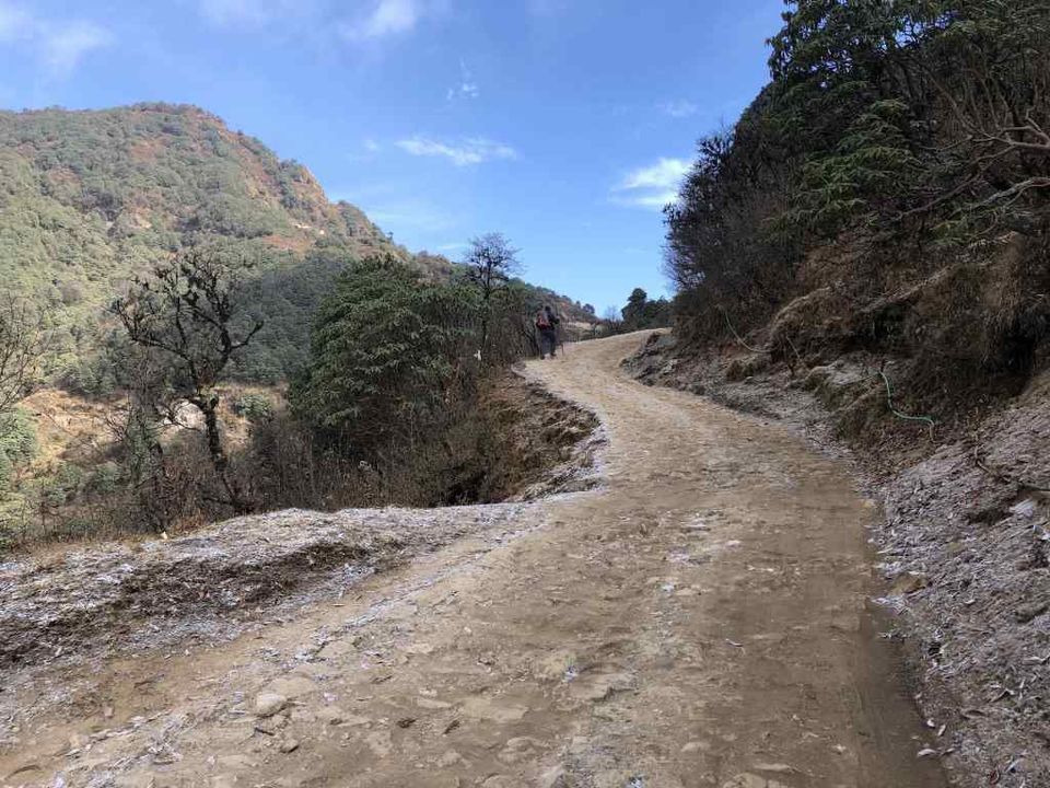Photo of Sandakphu Trek – A Walk beside the Tallest Mountains by Bhromonn (ভ্রমণ)