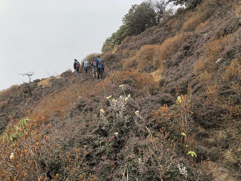 Photo of Sandakphu Trek – A Walk beside the Tallest Mountains by Bhromonn (ভ্রমণ)