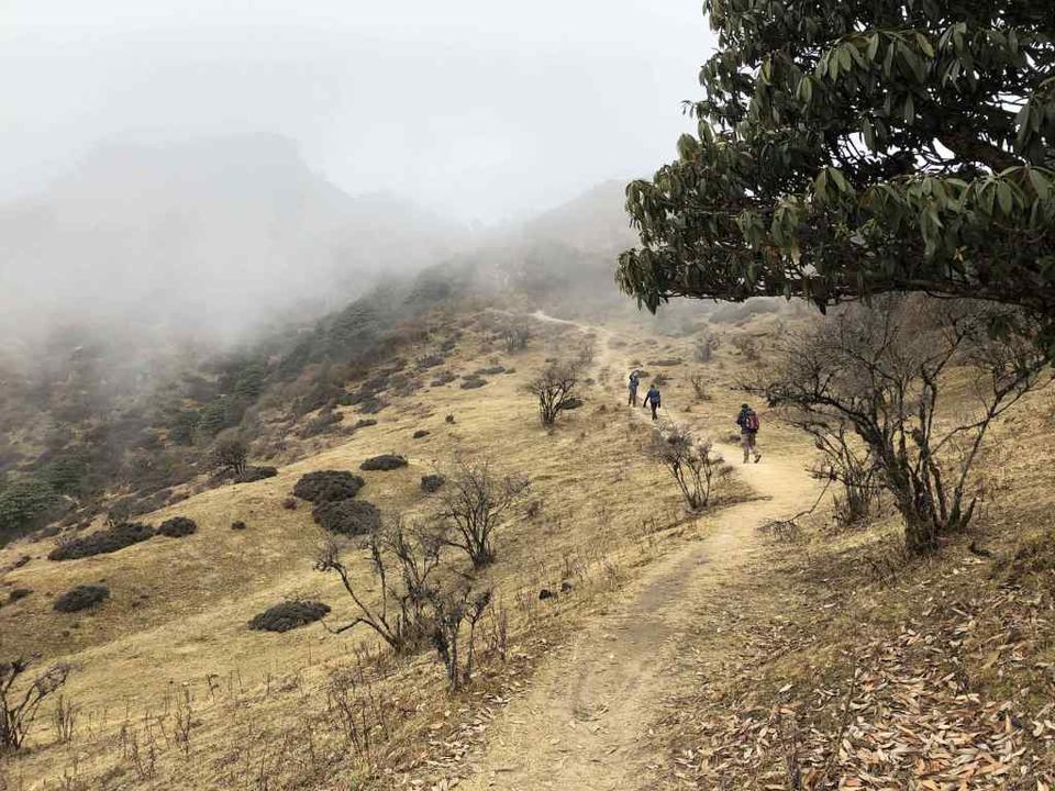 Photo of Sandakphu Trek – A Walk beside the Tallest Mountains by Bhromonn (ভ্রমণ)