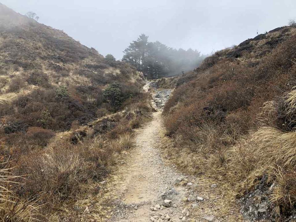 Photo of Sandakphu Trek – A Walk beside the Tallest Mountains by Bhromonn (ভ্রমণ)