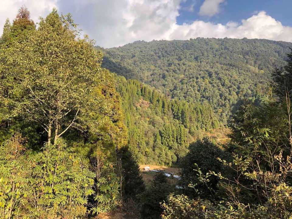 Photo of Samanden, Phalut - Gorkhey Road, Singalila Forest, West Bengal, India by Bhromonn (ভ্রমণ)