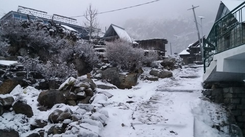 Photo of Trip to CHITKUL - The Unknown lands by Sourav Choudhary