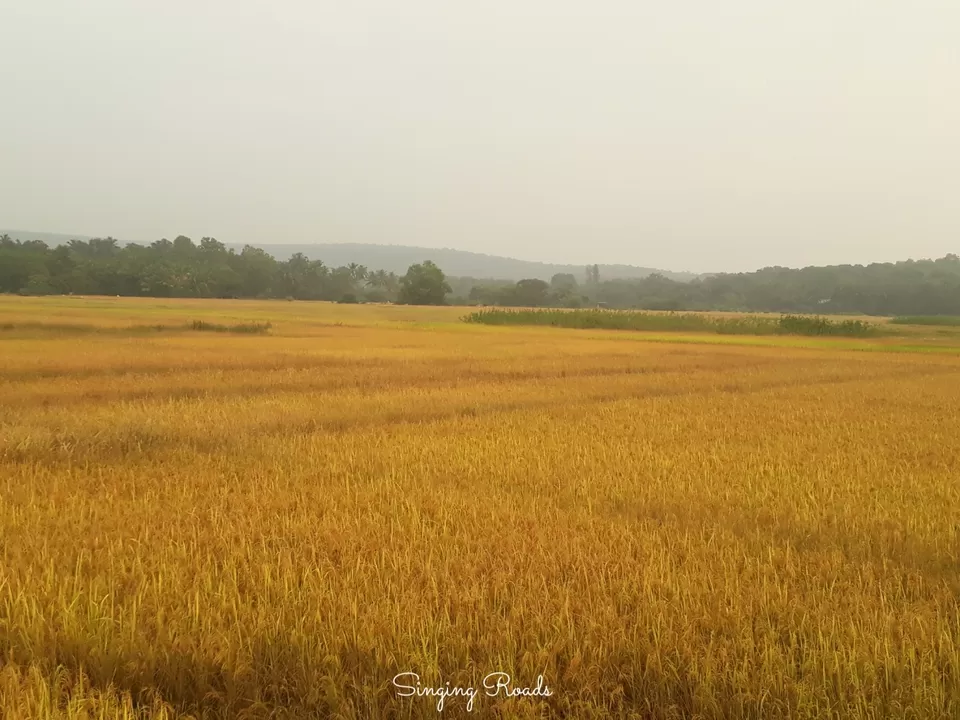 Photo of Everything You Need to Know About Vengurla, the Perfect Weekend Getaway From Mumbai and Goa by Lalan Palyekar