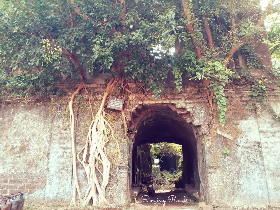 Photo of Everything You Need to Know About Vengurla, the Perfect Weekend Getaway From Mumbai and Goa by Lalan Palyekar