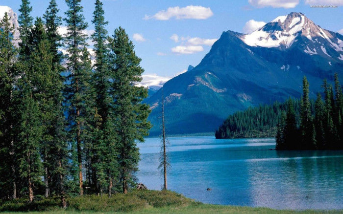 Photo of 7 Tourist Places For Summer Vacation in India by Wikiepedia