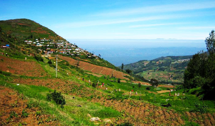 Photo of 7 Tourist Places For Summer Vacation in India by Wikiepedia