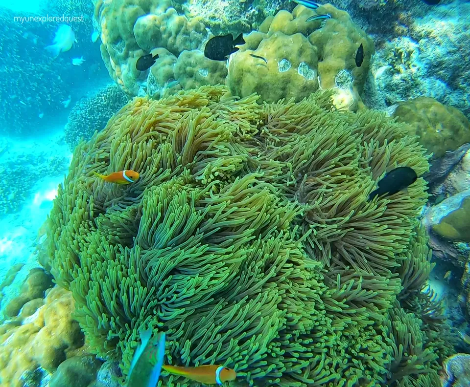 Photo of Kavaratti, Lakshadweep, India by Ronak Vora