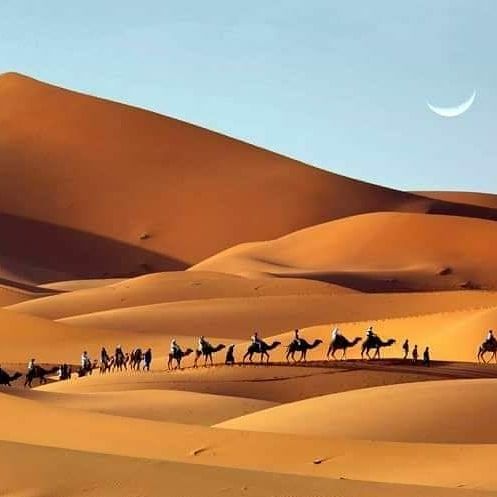 Photo of Tour 4 days trip from Marrakech to fes - Traveling In Morocco 7/13 by Traveling In Morocco Tours