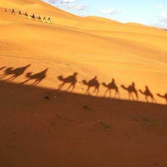 Photo of Tour 4 days trip from Marrakech to fes - Traveling In Morocco 2/13 by Traveling In Morocco Tours