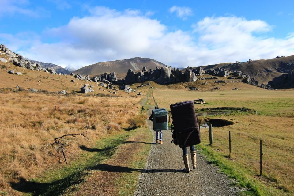 Photo of New Zealand South Island Attractions You Must See On Your Road Trip 3/23 by Isabel Leong