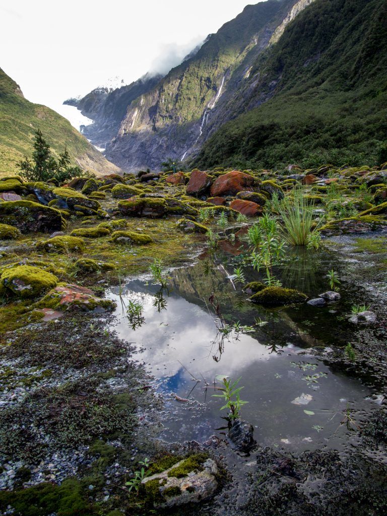 Photo of New Zealand South Island Attractions You Must See On Your Road Trip 6/23 by Isabel Leong