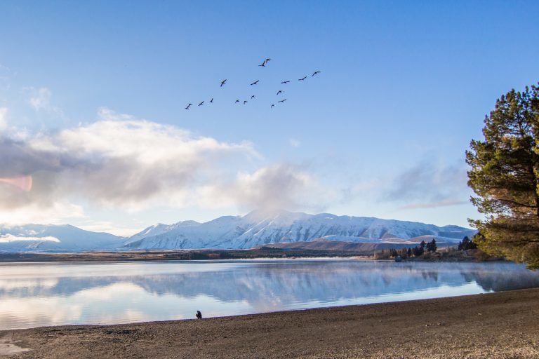 Photo of New Zealand South Island Attractions You Must See On Your Road Trip 21/23 by Isabel Leong