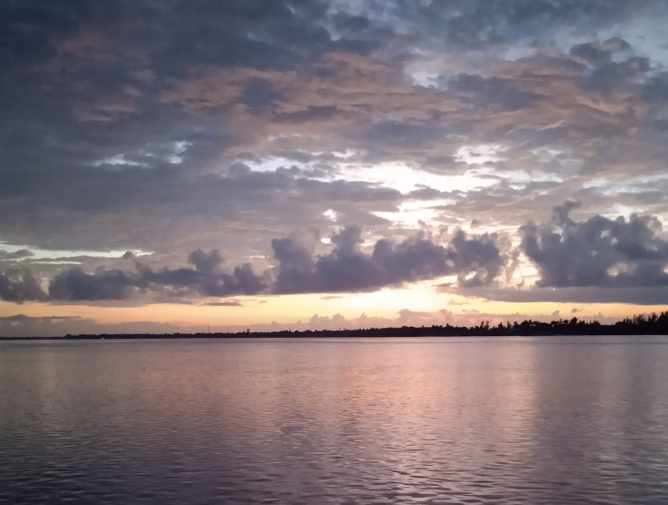 Photo of Sundarbans a world of it's own beyond Bengal Tiger by Mitrajit Biswas