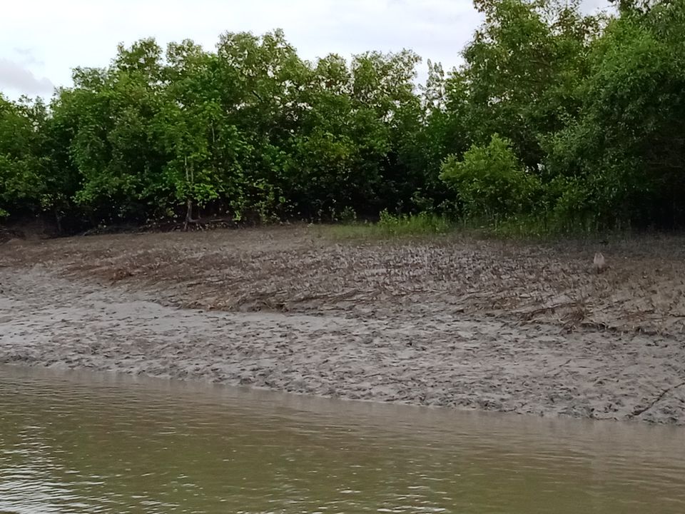 Photo of Sundarbans a world of it's own beyond Bengal Tiger by Mitrajit Biswas