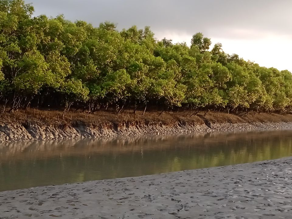 Photo of Sundarbans a world of it's own beyond Bengal Tiger by Mitrajit Biswas