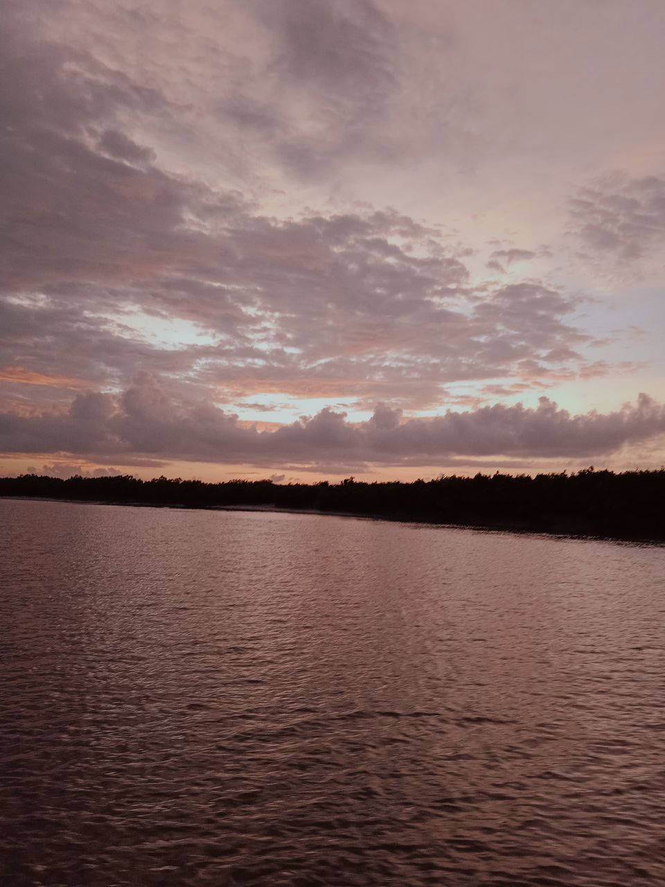 Photo of Sundarbans a world of it's own beyond Bengal Tiger by Mitrajit Biswas