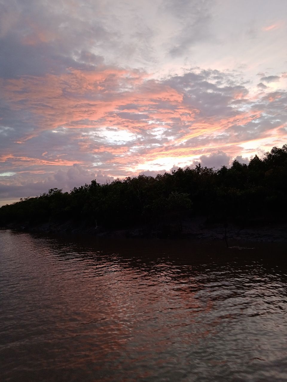 Photo of Sundarbans a world of it's own beyond Bengal Tiger by Mitrajit Biswas