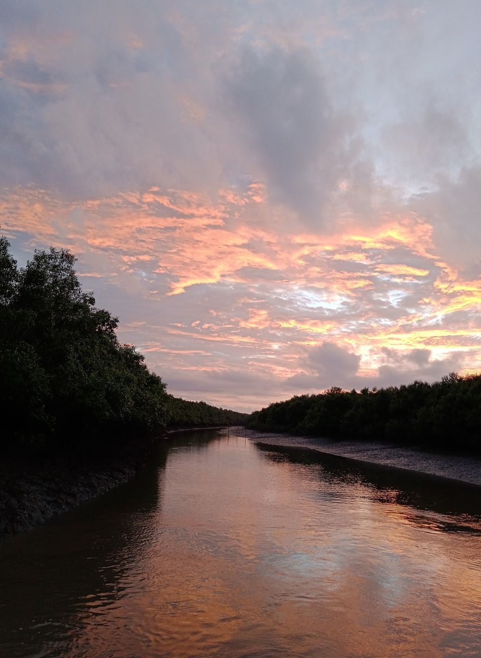 Photo of Sundarbans a world of it's own beyond Bengal Tiger by Mitrajit Biswas