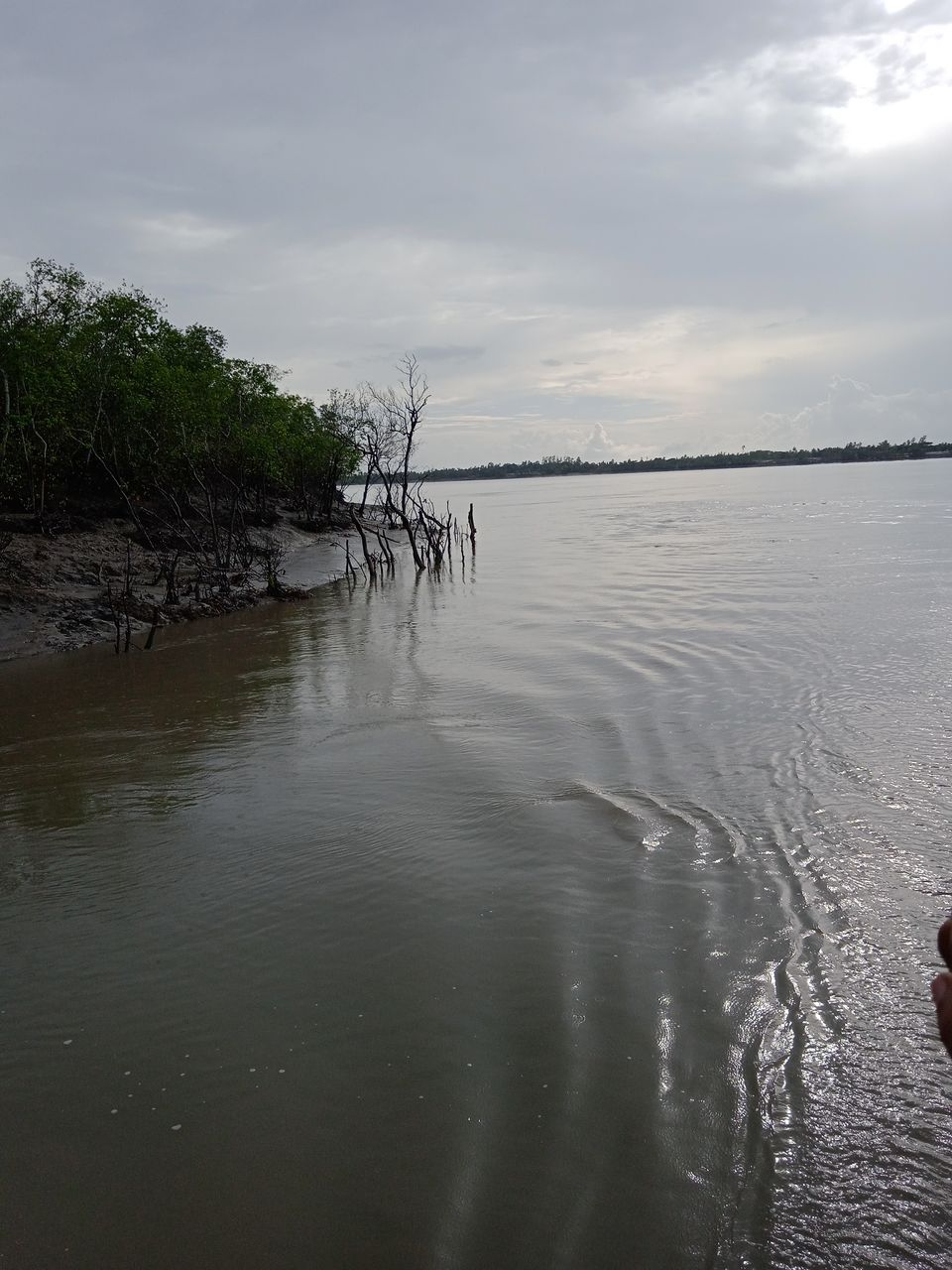 Photo of Sundarbans a world of it's own beyond Bengal Tiger by Mitrajit Biswas
