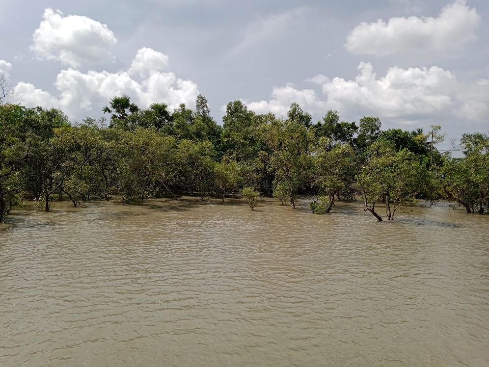 Photo of Sundarbans a world of it's own beyond Bengal Tiger by Mitrajit Biswas
