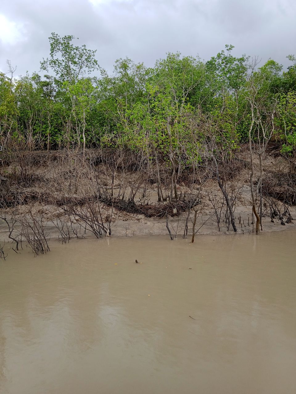 Photo of Sundarbans a world of it's own beyond Bengal Tiger by Mitrajit Biswas