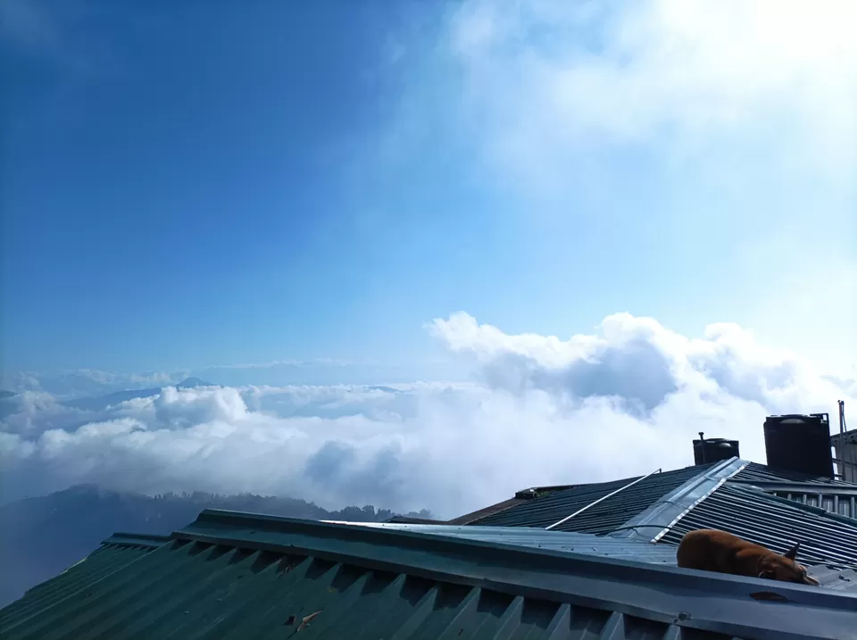 Photo of Darjeeling, West Bengal, India by Mitrajit Biswas