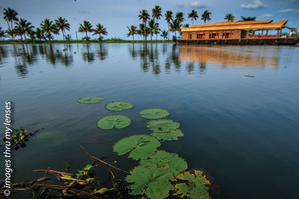 Photo of Alleppey, Kerala, India by sumit walia
