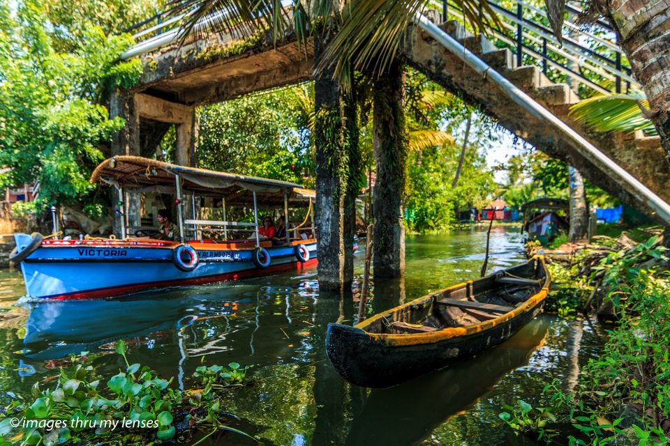 Photo of Breathe easy and slow down ; that's how Kerala's backwaters affect you by sumit walia