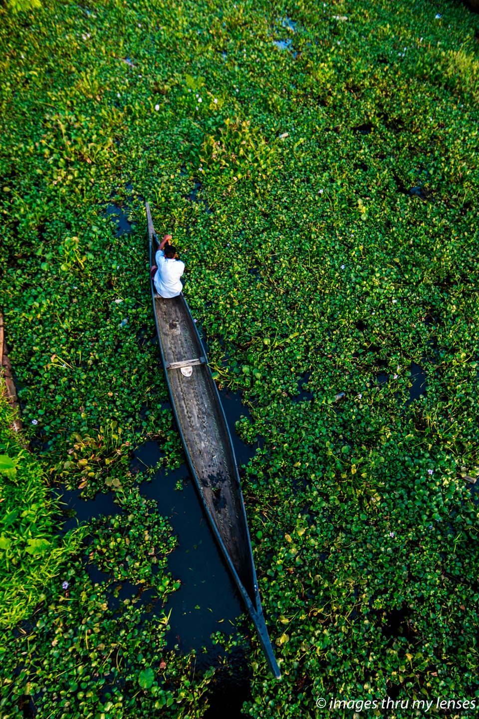 Photo of Breathe easy and slow down ; that's how Kerala's backwaters affect you by sumit walia