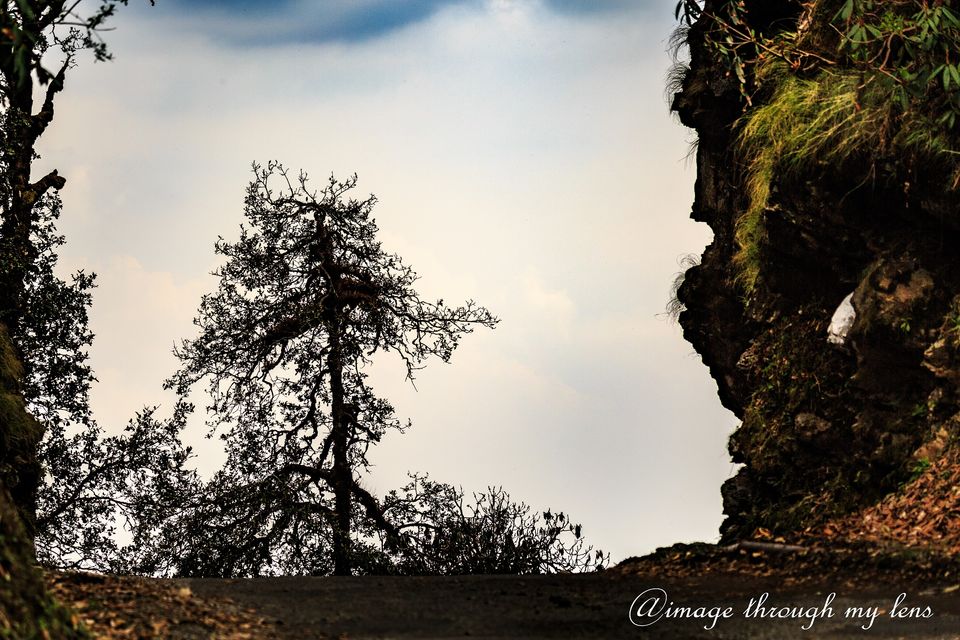 Photo of Sojourn to Mini Switzerland and the Enchanted Lake : Chopta and Deoriyaa Taal by sumit walia